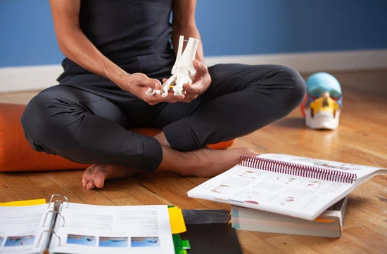 Kane School Foundation Training - Anatomie für Pilates